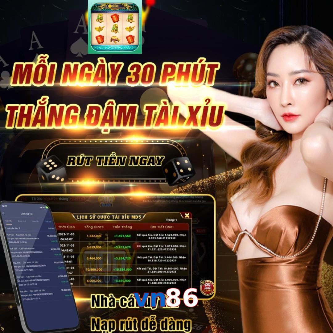 vn86