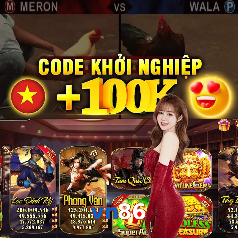 vn86